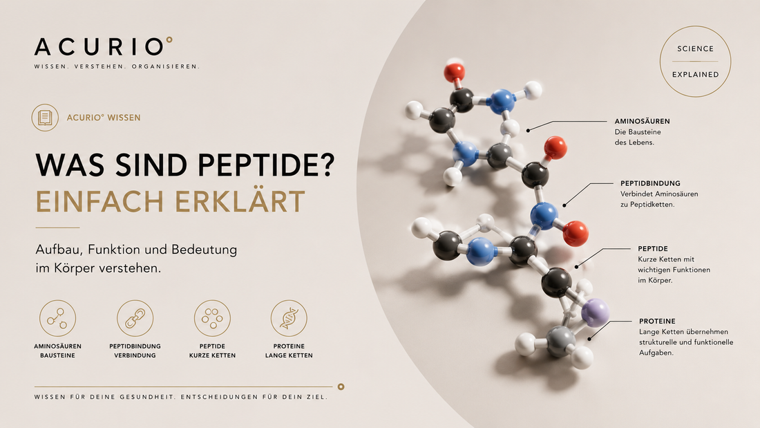 Was sind Peptide? Einfach erklärt – Aufbau, Funktion und Bedeutung im Körper